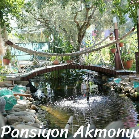 Akmonya Pansiyon Eriklice エクステリア 写真